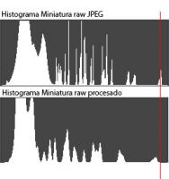 hostograma raw lineal